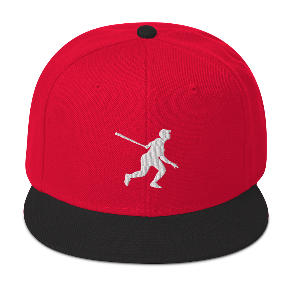 Two Color Snapback Hat 2