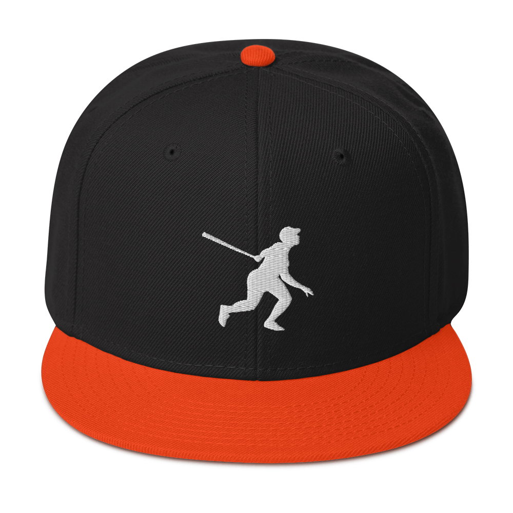 Two Color Snapback Hat 2