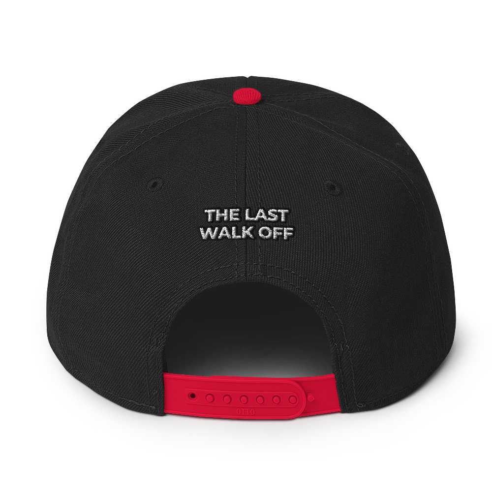 Two Color Snapback Hat 2