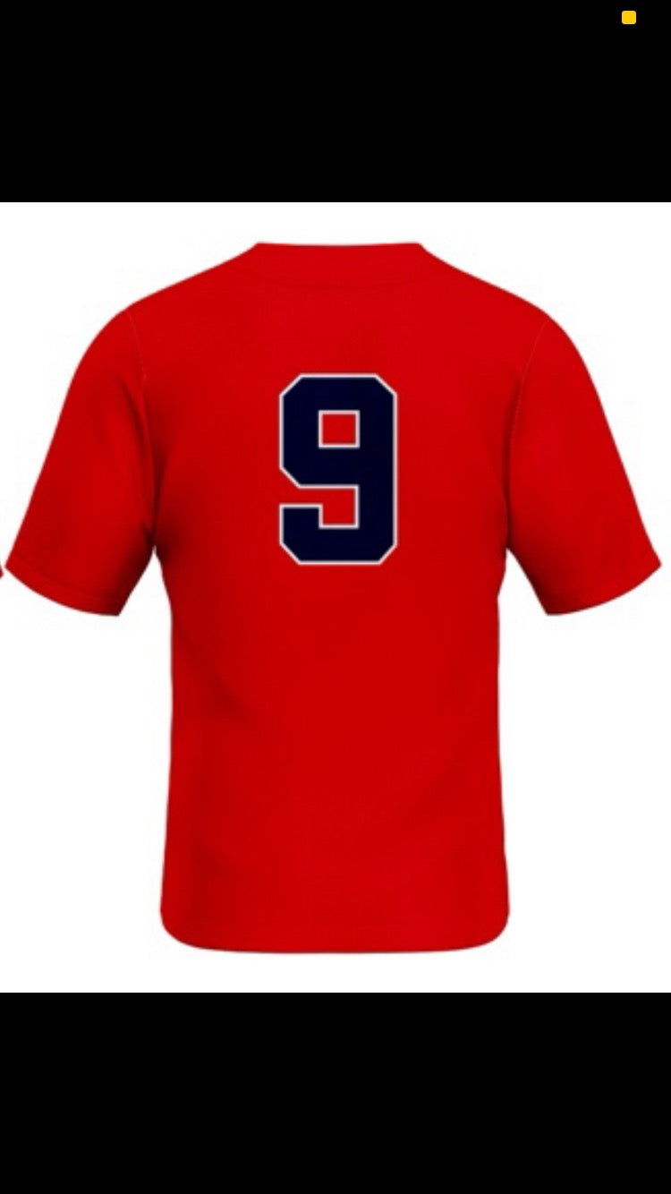 ".406Swing" Away Red Jersey