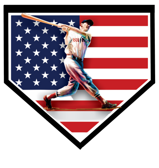 "America’s Hero Ted Williams" Artwork