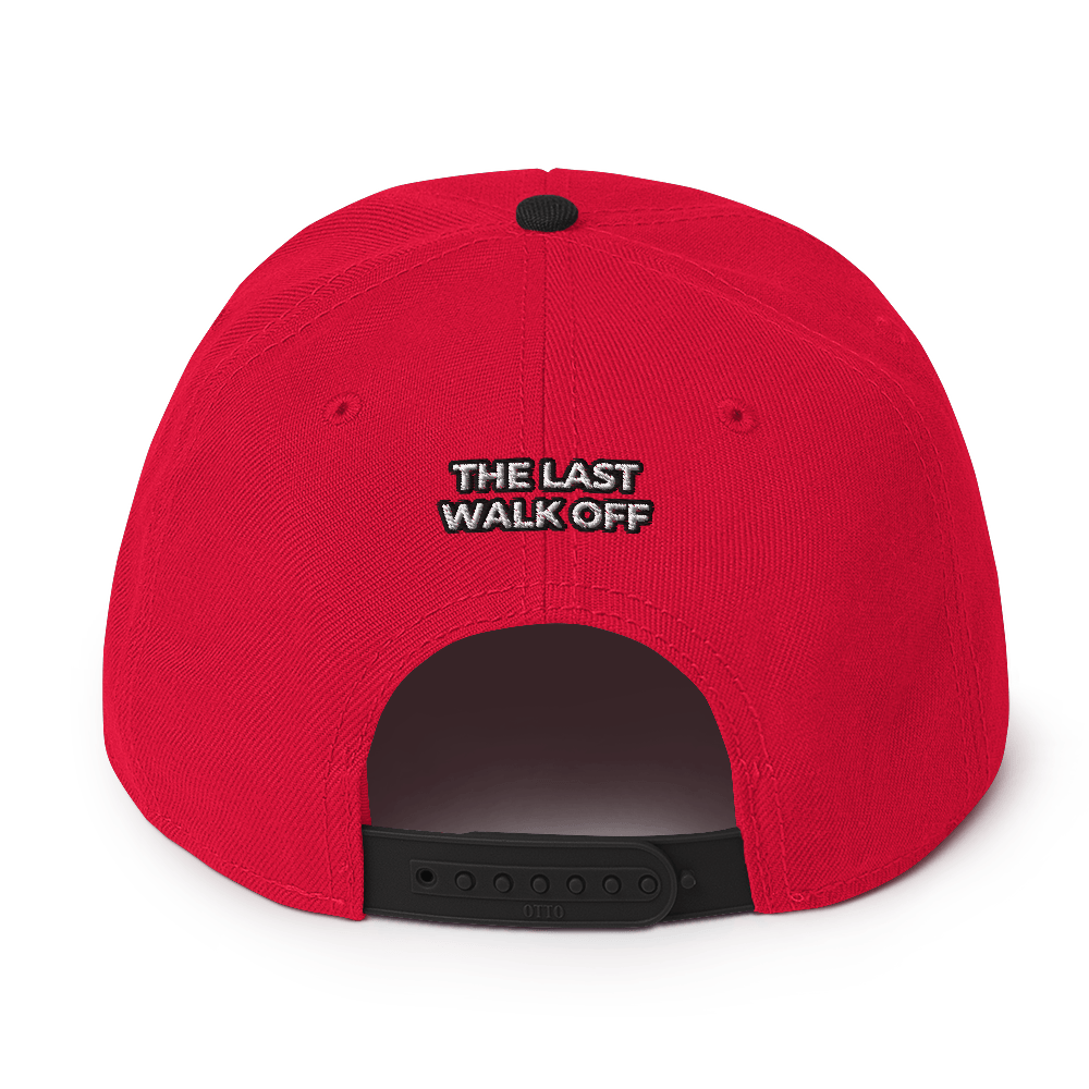 Two Color Snapback Hat 2